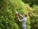 Електричний кущоріз BLACK+DECKER BEHTS401, 500 Вт, ніж 55 см - Зображення 3