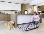Акумуляторний пилосос 10,8 В 2,5 А·год BLACK+DECKER DVA325JP07 - Зображення 5